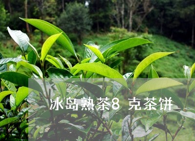 冰岛熟茶8克茶饼/2023032828262