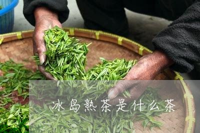 冰岛熟茶是什么茶/2023041344139