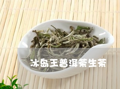 冰岛王普洱茶生茶/2023041360614