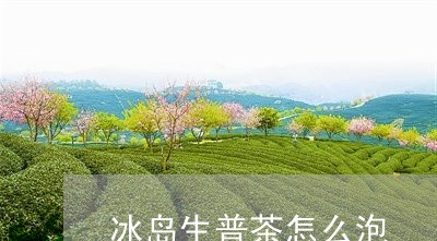 冰岛生普茶怎么泡/2023032957947