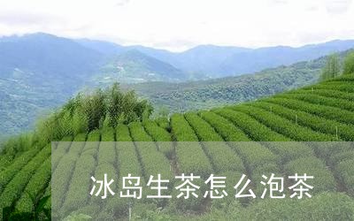 冰岛生茶怎么泡茶/2023032857181