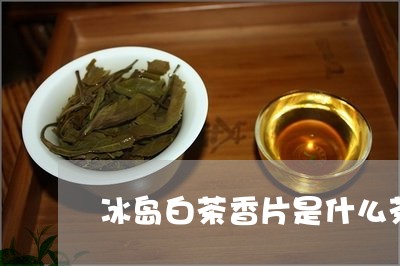 冰岛白茶香片是什么茶做的/2023040299169