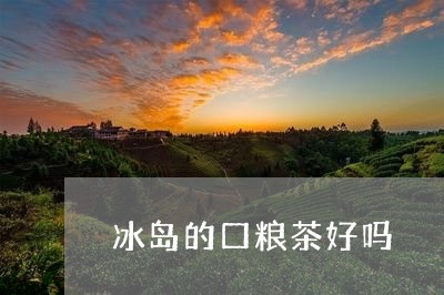 冰岛的口粮茶好吗/2023032858714