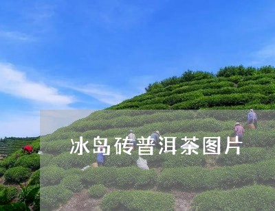 冰岛砖普洱茶图片/2023041260593