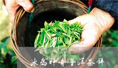 冰岛神奇普洱茶饼/2023031702817