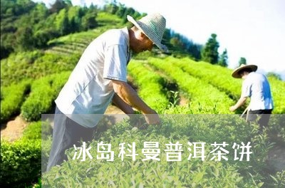 冰岛科曼普洱茶饼/2023031719592