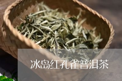 冰岛红孔雀普洱茶/2023041341017