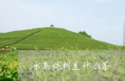 冰岛纯料是什么茶/2023032816039