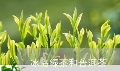 冰岛绿茶和普洱茶/2023041310605