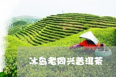 冰岛老同兴普洱茶/2023041313616