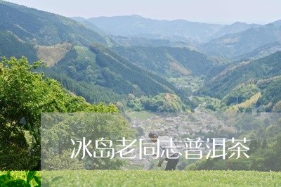 冰岛老同志普洱茶/2023041391593