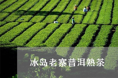 冰岛老寨普洱熟茶/2023033090703