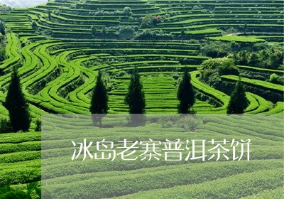 冰岛老寨普洱茶饼/2023041262929