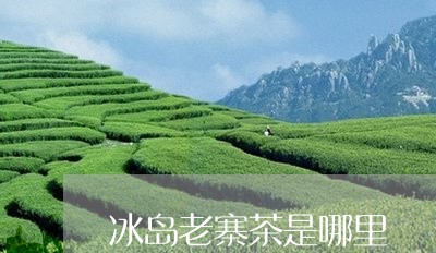 冰岛老寨茶是哪里/2023032858804