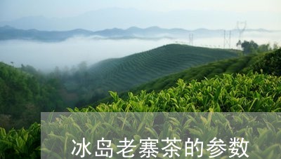 冰岛老寨茶的参数/2023032899360