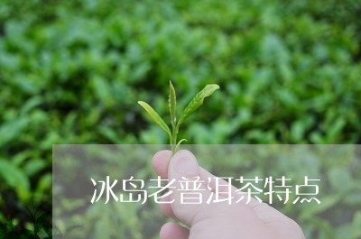 冰岛老普洱茶特点/2023031751626