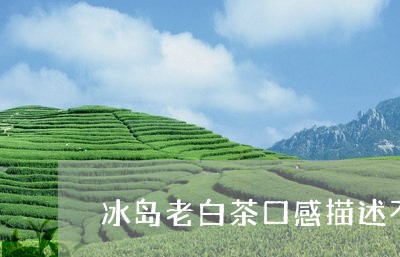 冰岛老白茶口感描述不正确/2023040102825