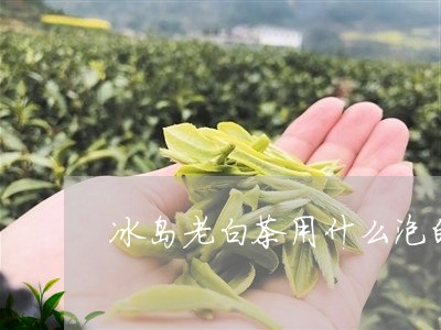 冰岛老白茶用什么泡的好喝/2023040165038