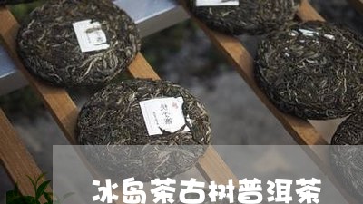 冰岛茶古树普洱茶/2023041359493