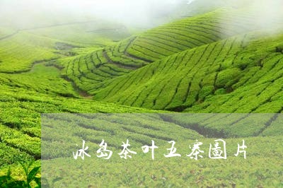 冰岛茶叶五寨图片/2023032318283