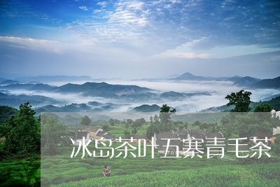 冰岛茶叶五寨青毛茶/2023041507060