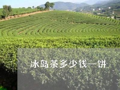 冰岛茶多少钱一饼/2023032884970