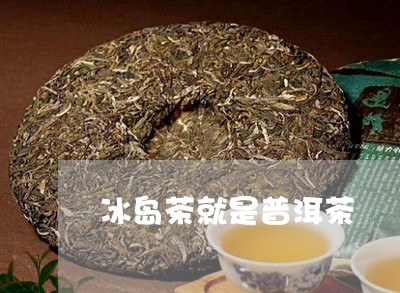 冰岛茶就是普洱茶/2023031713928