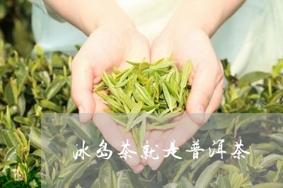 冰岛茶就是普洱茶/2023041331897