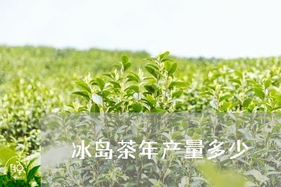 冰岛茶年产量多少/2023032898583