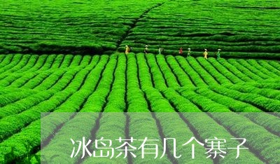 冰岛茶有几个寨子/2023032822593