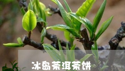 冰岛茶洱茶饼/2023031728581