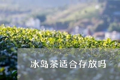 冰岛茶适合存放吗/2023032817362