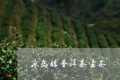 冰岛醇普洱茶生茶/2023041328480