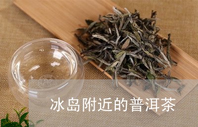 冰岛附近的普洱茶/2023041335049