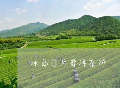 冰岛黃片普洱茶饼/2023041330604