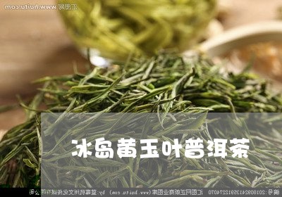 冰岛黄玉叶普洱茶/2023031759693