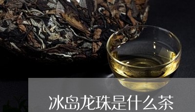 冰岛龙珠是什么茶/2023032805058