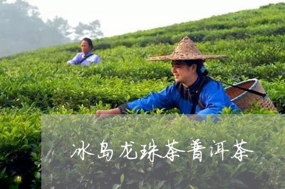 冰岛龙珠茶普洱茶/2023031746292