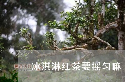 冰淇淋红茶要摇匀嘛/2023031915147