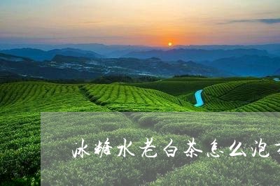 冰糖水老白茶怎么泡才好喝/2023040171795