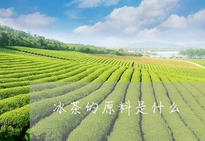 冰茶的原料是什么/2023032428383