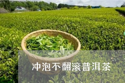 冲泡不翻滚普洱茶/2023041036846