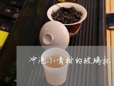 冲泡小青柑的玻璃杯/2023032216258