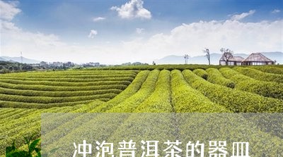 冲泡普洱茶的器皿/2023040985137