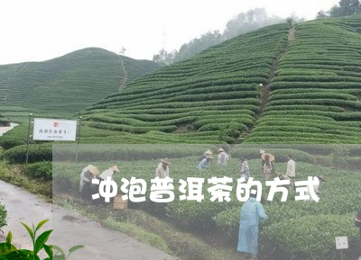 冲泡普洱茶的方式/2023041039571