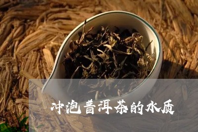 冲泡普洱茶的水质/2023041053715