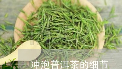 冲泡普洱茶的细节/2023041186049