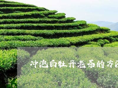 冲泡白牡丹老茶的方法视频/2023040228260