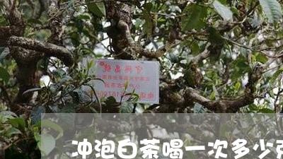 冲泡白茶喝一次多少克合适/2023040217181