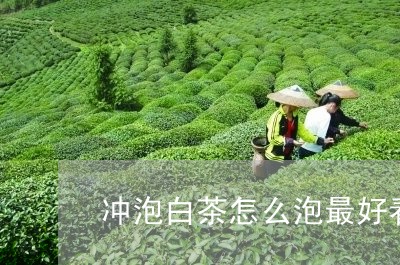 冲泡白茶怎么泡最好看图片/2023040283728